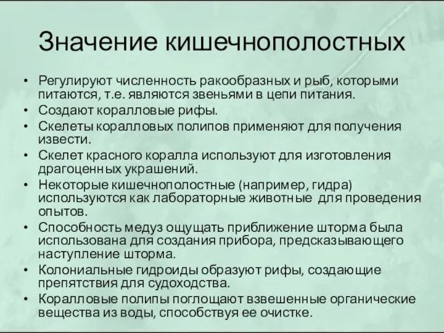 Значение кишечнополостных Регулируют численность ракообразных и рыб, которыми питаются, т.е. являются звеньями