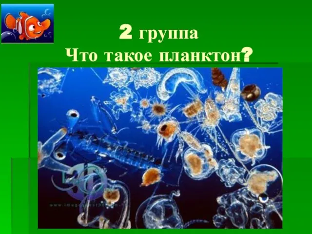 2 группа Что такое планктон?