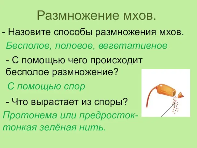 Размножение мхов. - Назовите способы размножения мхов. Бесполое, половое, вегетативное. - С