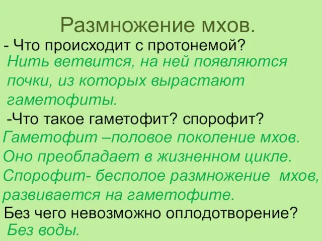 Без чего невозможно оплодотворение? Размножение мхов. - Что происходит с протонемой? Нить