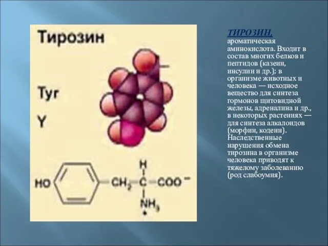 ТИРОЗИН, ароматическая аминокислота. Входит в состав многих белков и пептидов (казеин, инсулин