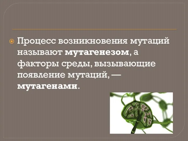 Процесс возникновения мутаций называют мутагенезом, а факторы среды, вызывающие появление мутаций, — мутагенами.