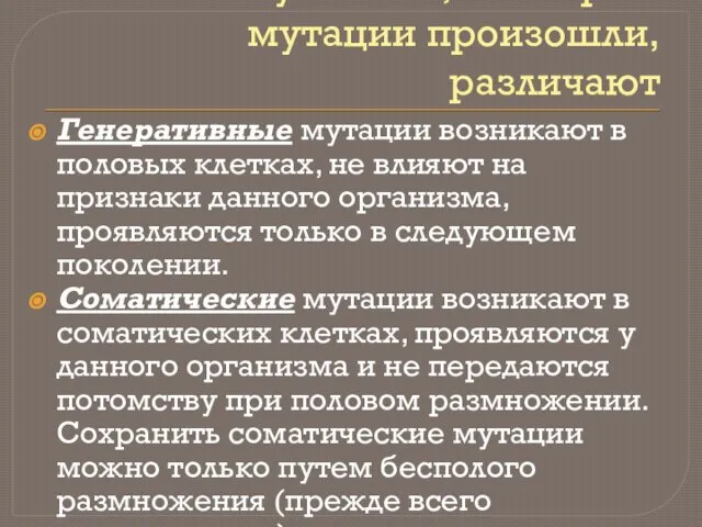 По типу клеток, в которых мутации произошли, различают Генеративные мутации возникают в