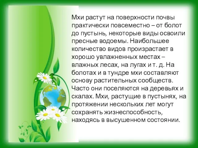 Мхи растут на поверхности почвы практически повсеместно – от болот до пустынь,