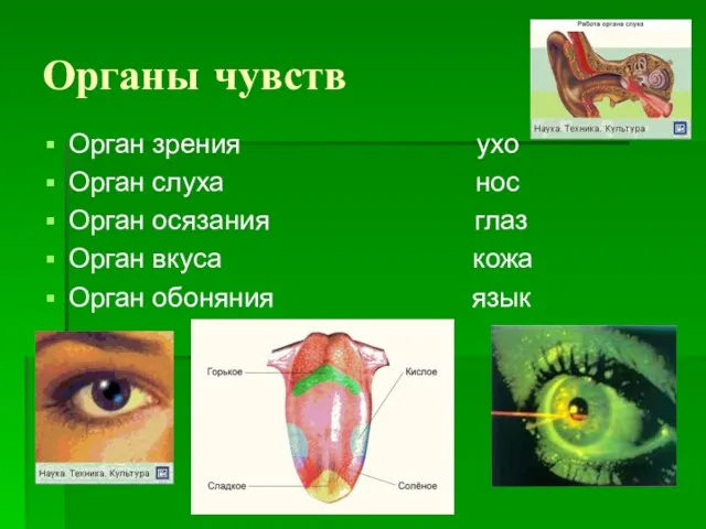 Органы чувств Орган зрения ухо Орган слуха нос Орган осязания глаз Орган