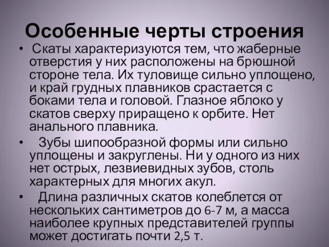 Особенные черты строения Скаты характеризуются тем, что жаберные отверстия у них расположены