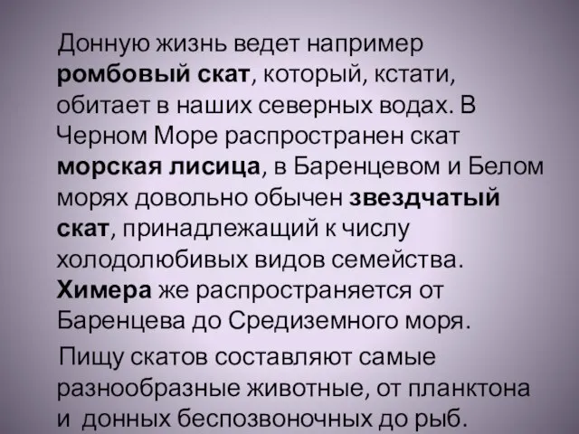 Донную жизнь ведет например ромбовый скат, который, кстати, обитает в наших северных