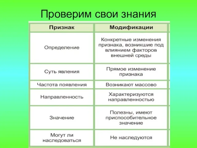 Проверим свои знания