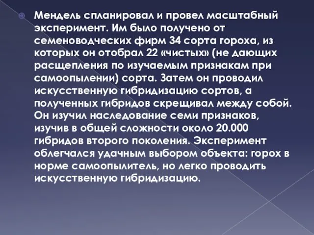 Мендель спланировал и провел масштабный эксперимент. Им было получено от семеноводческих фирм