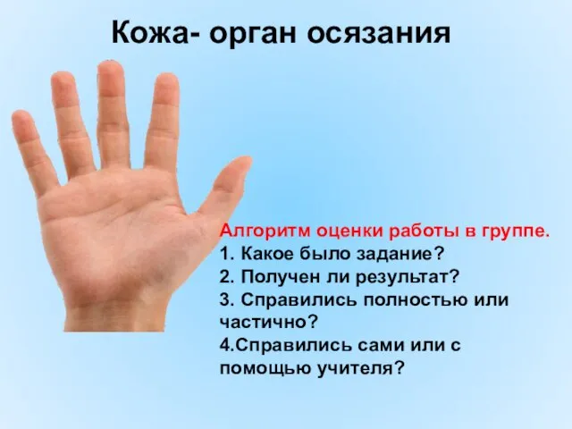 Кожа- орган осязания Алгоритм оценки работы в группе. 1. Какое было задание?