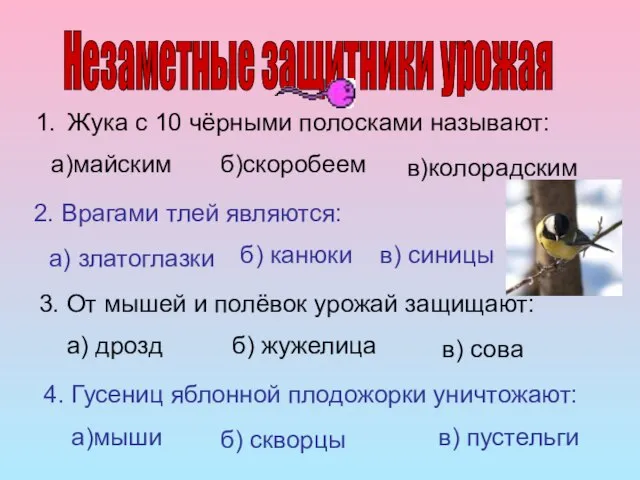 Незаметные защитники урожая Жука с 10 чёрными полосками называют: а)майским б)скоробеем в)колорадским