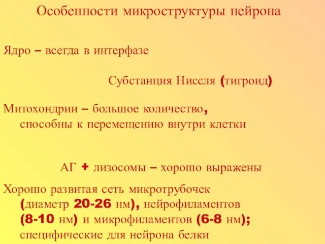 Хорошо развитая сеть микротрубочек (диаметр 20-26 нм), нейрофиламентов (8-10 нм) и микрофиламентов