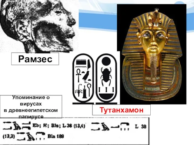 Тутанхамон Рамзес Упоминание о вирусах в древнеегипетском папирусе