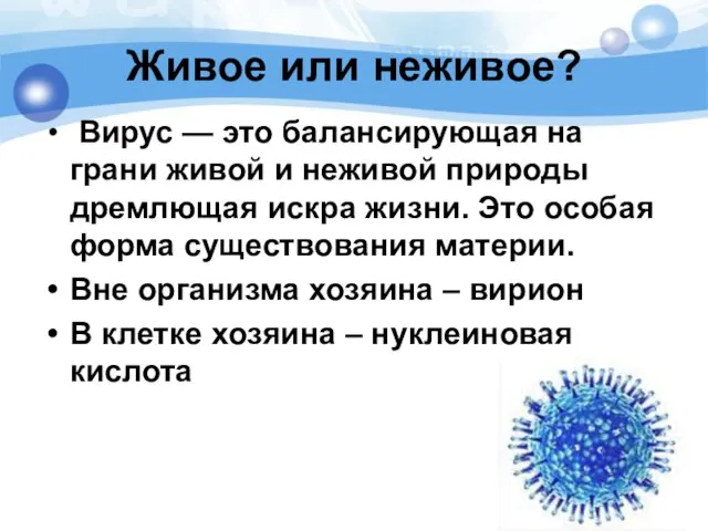 Живое или неживое? Вирус — это балансирующая на грани живой и неживой