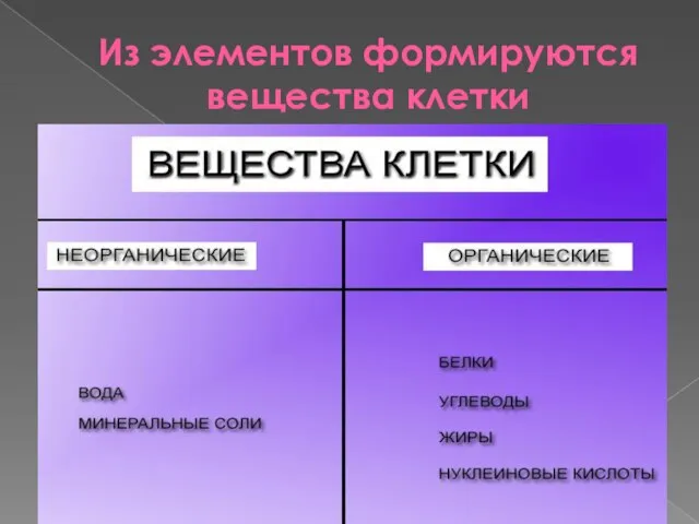 Из элементов формируются вещества клетки