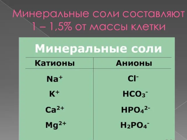 Минеральные соли составляют 1 – 1,5% от массы клетки