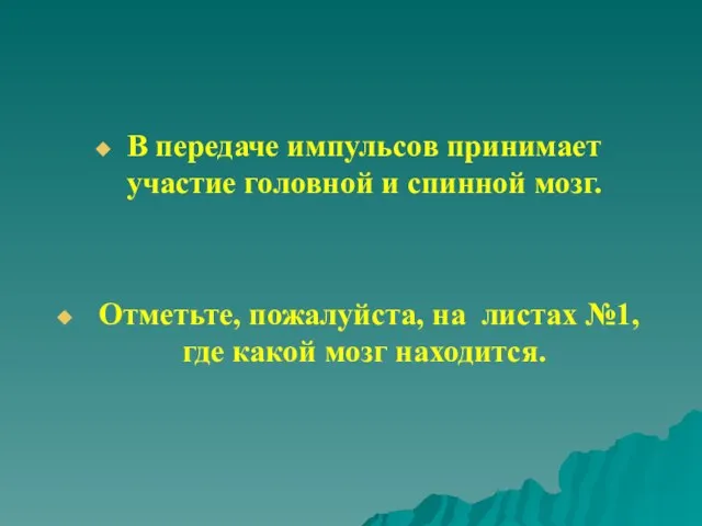 В передаче импульсов принимает участие головной и спинной мозг. Отметьте, пожалуйста, на