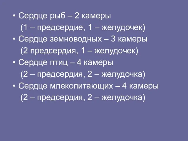 Сердце рыб – 2 камеры (1 – предсердие, 1 – желудочек) Сердце