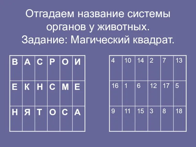 Отгадаем название системы органов у животных. Задание: Магический квадрат.