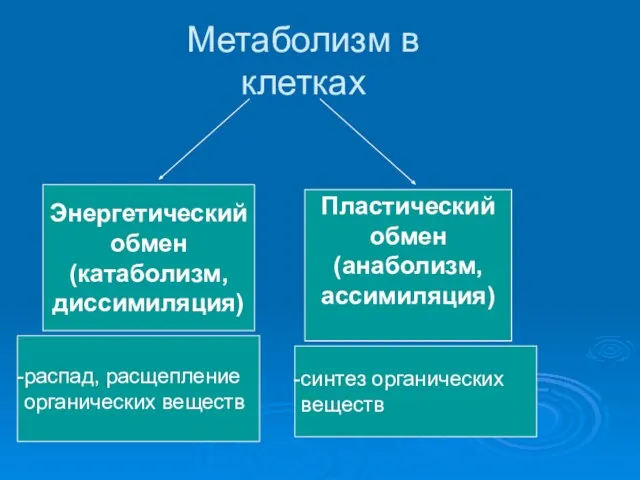 Метаболизм в клетках Энергетический обмен (катаболизм, диссимиляция) Пластический обмен (анаболизм, ассимиляция) распад,