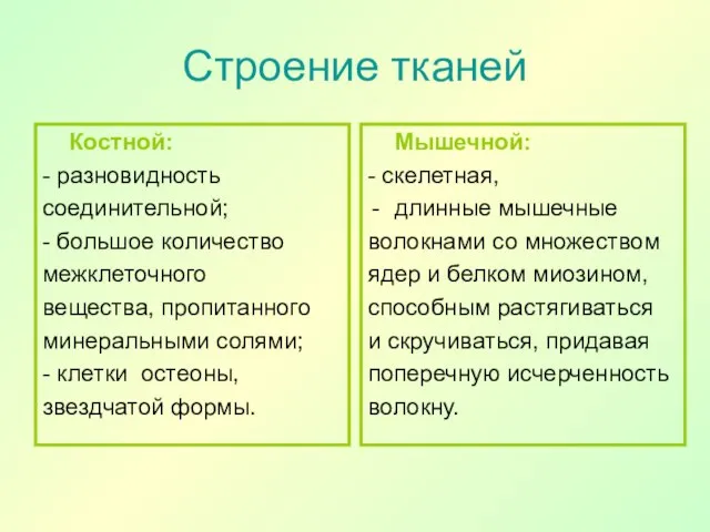 Строение тканей Костной: - разновидность соединительной; - большое количество межклеточного вещества, пропитанного