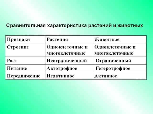 Сравнительная характеристика растений и животных