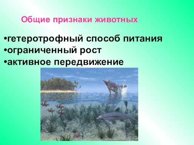 гетеротрофный способ питания ограниченный рост активное передвижение Общие признаки животных.