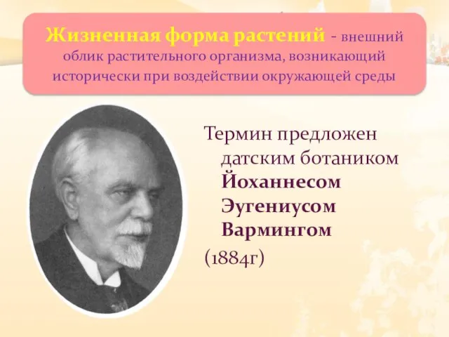 Термин предложен датским ботаником Йоханнесом Эугениусом Вармингом (1884г) Жизненная форма растений -