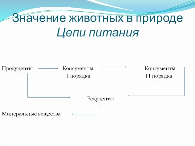 Значение животных в природе Цепи питания Продуценты Консументы Консументы I порядка I