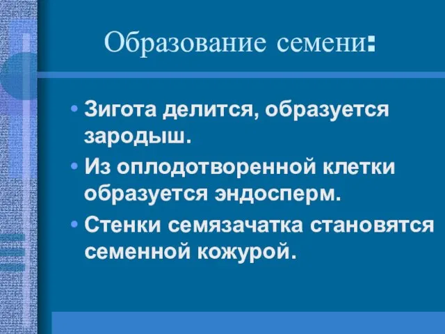 Образование семени: Зигота делится, образуется зародыш. Из оплодотворенной клетки образуется эндосперм. Стенки семязачатка становятся семенной кожурой.