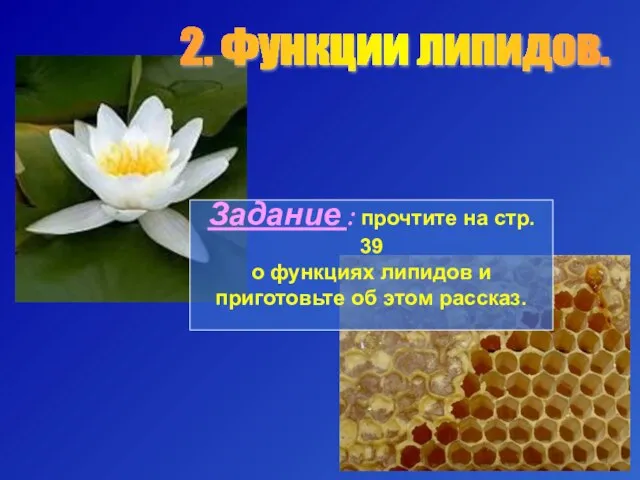 Задание : прочтите на стр. 39 о функциях липидов и приготовьте об