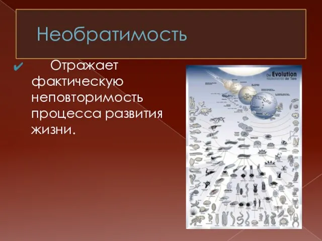 Необратимость Отражает фактическую неповторимость процесса развития жизни.