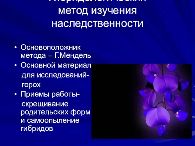 Гибридологический метод изучения наследственности Основоположник метода – Г.Мендель Основной материал для исследований-