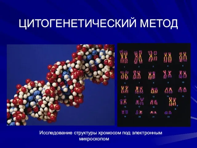 ЦИТОГЕНЕТИЧЕСКИЙ МЕТОД Исследование структуры хромосом под электронным микроскопом
