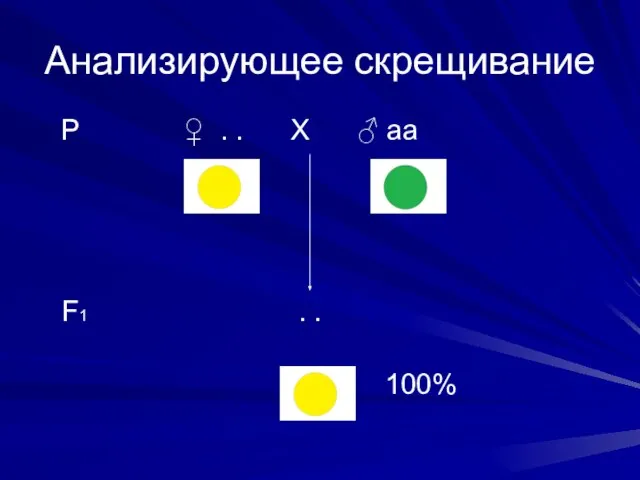 Анализирующее скрещивание Р ♀ . . Х ♂ аа F1 . . 100%