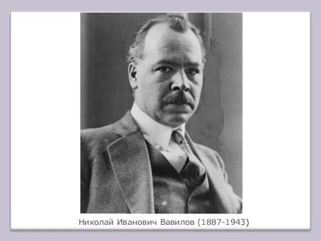 Николай Иванович Вавилов (1887-1943)