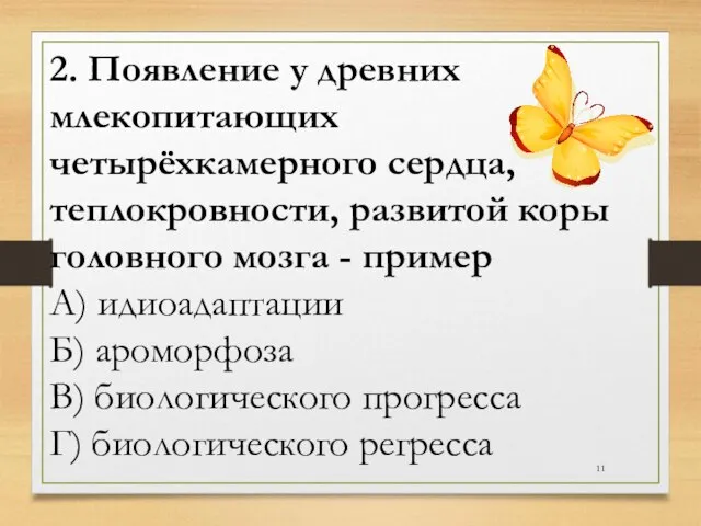 2. Появление у древних млекопитающих четырёхкамерного сердца, теплокровности, развитой коры головного мозга