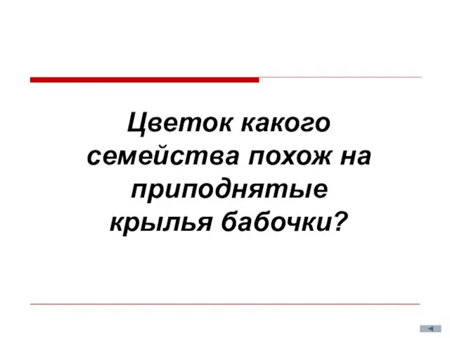 Цветок какого семейства похож на приподнятые крылья бабочки?