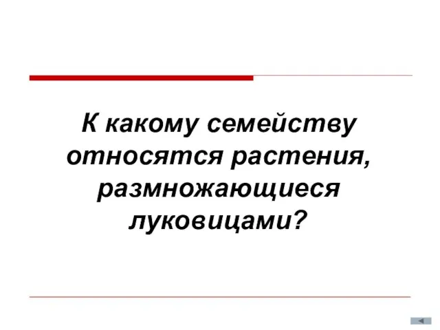 К какому семейству относятся растения, размножающиеся луковицами?