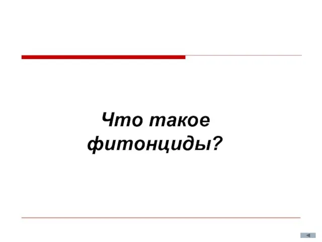 Что такое фитонциды?