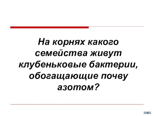 На корнях какого семейства живут клубеньковые бактерии, обогащающие почву азотом?