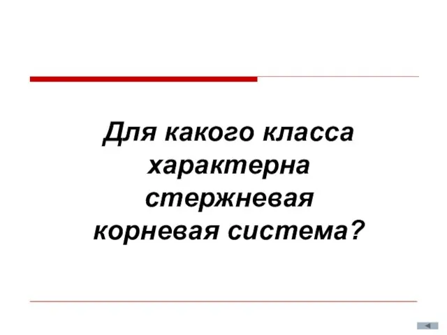 Для какого класса характерна стержневая корневая система?