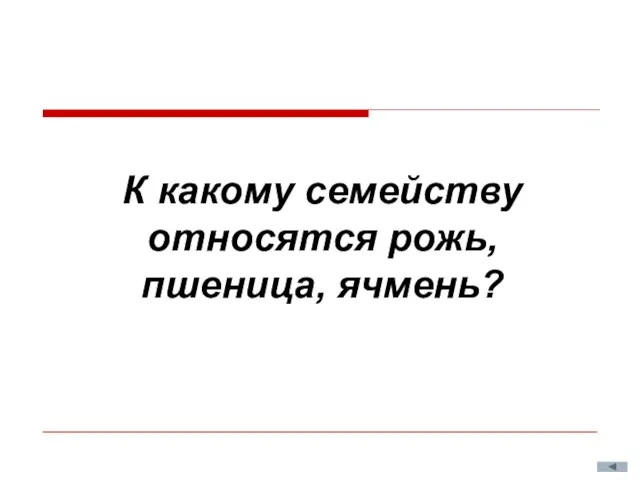 К какому семейству относятся рожь, пшеница, ячмень?