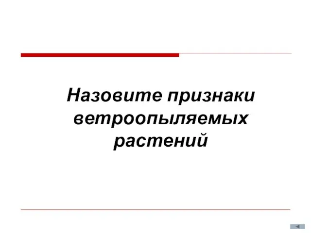 Назовите признаки ветроопыляемых растений