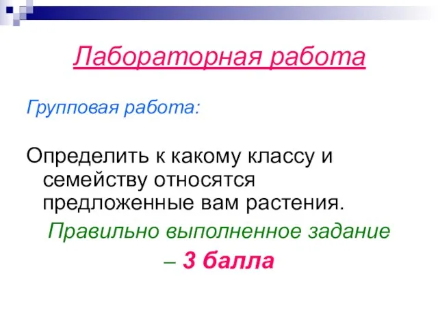 Лабораторная работа Групповая работа: Определить к какому классу и семейству относятся предложенные