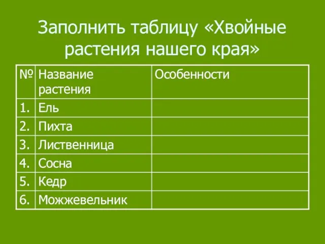 Заполнить таблицу «Хвойные растения нашего края»