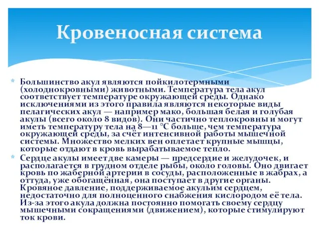 Большинство акул являются пойкилотермными (холоднокровными) животными. Температура тела акул соответствует температуре окружающей