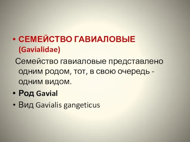 СЕМЕЙСТВО ГАВИАЛОВЫЕ (Gavialidae) Семейство гавиаловые представлено одним родом, тот, в свою очередь