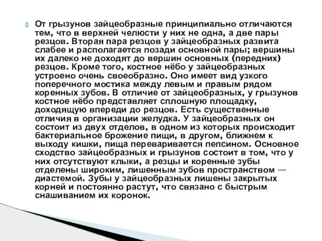 От грызунов зайцеобразные принципиально отличаются тем, что в верхней челюсти у них