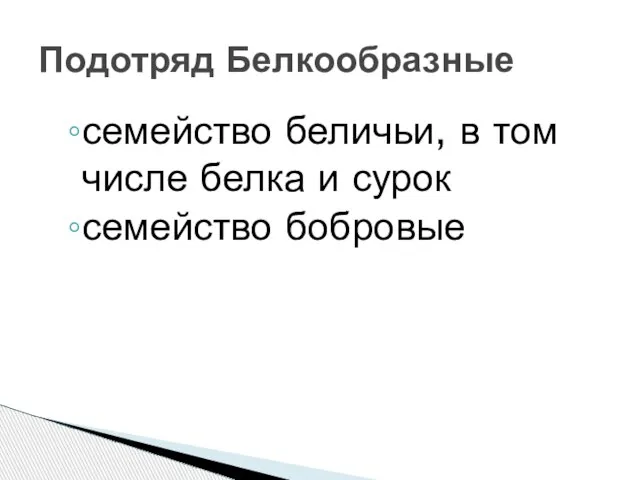 семейство беличьи, в том числе белка и сурок семейство бобровые Подотряд Белкообразные